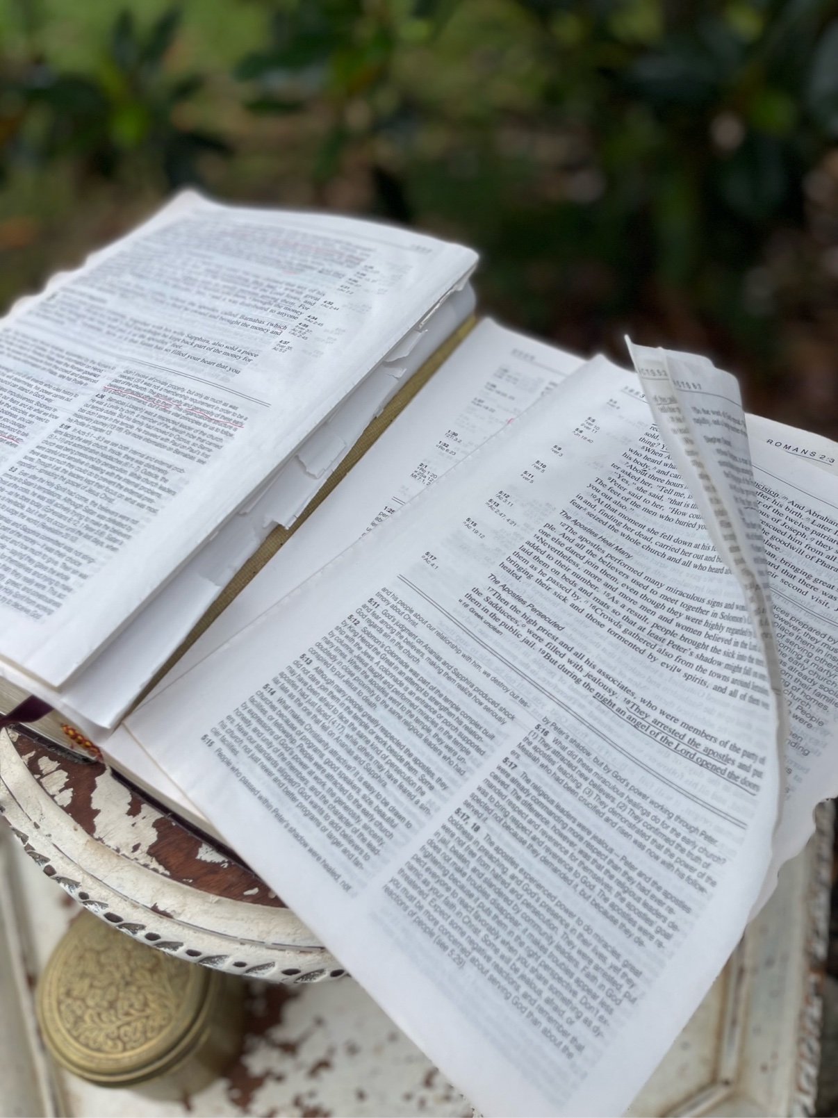 Bible repair